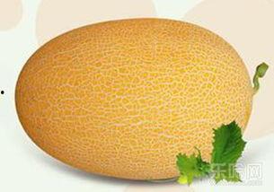 长疮的人可以吃哈密瓜吗,美味还是禁忌？
