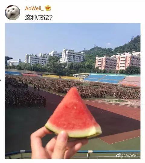 南音学姐吃瓜,揭秘娱乐圈那些不为人知的幕后故事