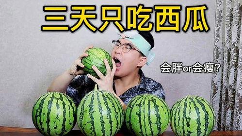 吃瓜不吃饭减肥,轻松实现健康减肥新风尚