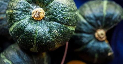 吃瓜吃的就是口感