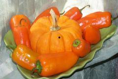 扶手瓜能和辣椒一起吃吗,扶手瓜与辣椒的搭配食用探讨