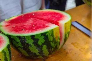 全网学校吃瓜,揭秘校园吃瓜背后的那些事儿