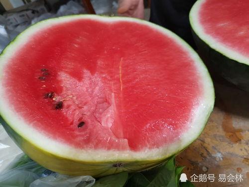 市井吃瓜少女,揭秘街头巷尾的趣味生活