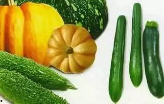 芦苇吃瓜,自然界的和谐共生